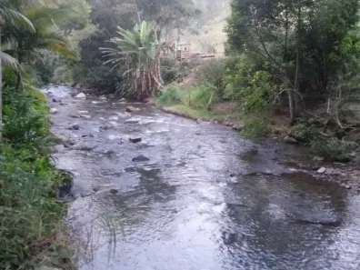 Fazenda/Sítio com 3 Quartos à venda, 100000m² no , Apiúna