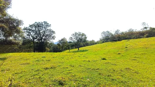 Lote/Terreno à venda, 5285m² no Salto do Norte, Blumenau
