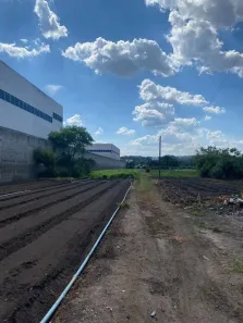 Lote/Terreno à venda, 12000m² no Jardim das Cerejeiras, Arujá