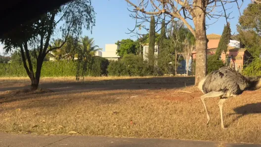 Lote/Terreno à venda, 830m² no Residencial Aldeia do Vale, Goiânia