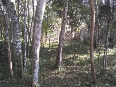 Lote/Terreno à venda, 1889m² no Jardim das Cerejeiras, Cotia