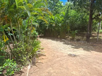 Fazenda/Sítio com 9 Quartos à venda, 440m² no Centro, Mata de São João