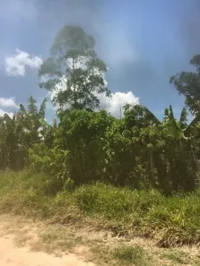 Lote/Terreno à venda, 22000m² no Santana, Cotia