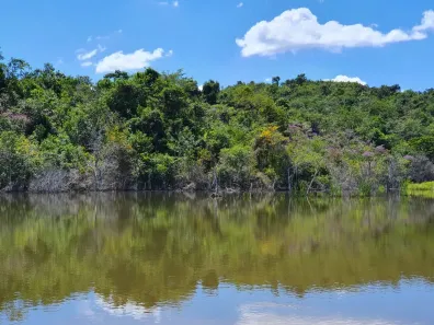 Lote/Terreno à venda, 20000m² no Jequitibá, Jequitibá