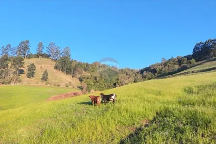 à venda, 60000m² no Progresso, Três Palmeiras