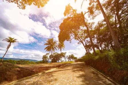 Lote/Terreno à venda, 250m² no Lameiro, Crato