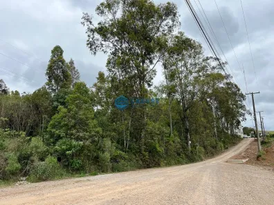 Lote/Terreno à venda, 29096m² no Nossa Senhora da Saúde, Caxias do Sul