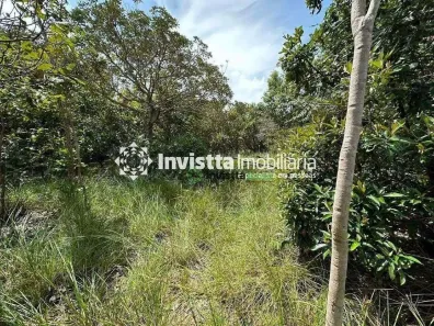 Lote/Terreno à venda, 3735m² no Loteamento Água Fria, Palmas