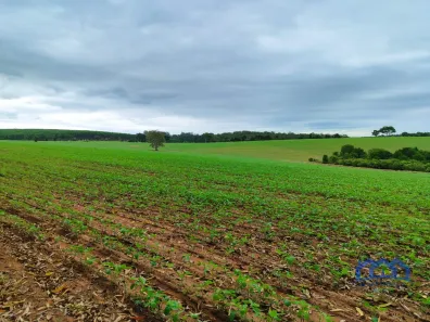 Fazenda/Sítio com 1 Quarto à venda, 1282600m² no Centro, Itapetininga