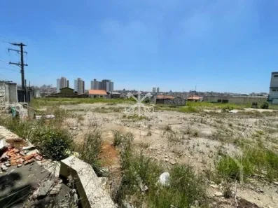 Lote/Terreno para alugar, 4600m² no Vila Nova Pauliceia, São Paulo