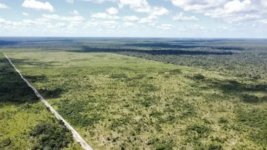 Fazenda/Sítio à venda, 2100000m² no Zona Rural, Chapadinha