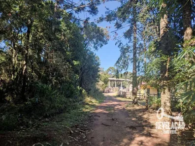 Fazenda/Sítio com 1 Quarto à venda, 52000m² no Cachoeira, São José dos Pinhais