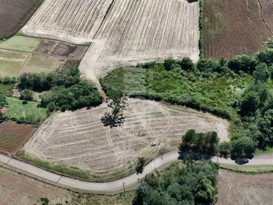 Lote/Terreno à venda, 47000m² no Avenquinha, Campo Alegre