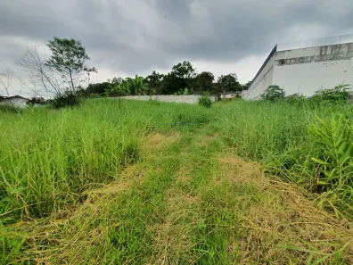 Lote/Terreno à venda, 12000m² no Jardim Aracy, Mogi das Cruzes