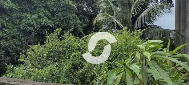 Lote/Terreno à venda, 600m² no Barro Vermelho, São Gonçalo