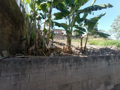 Lote/Terreno à venda, 336m² no Jardim das Paineiras, Campinas