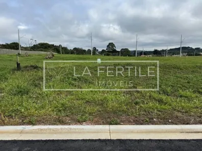 Lote/Terreno à venda, 250m² no Centro, Piraquara