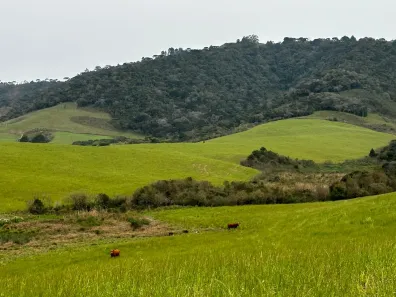 Fazenda/Sítio à venda, 1330000m² no , Bom Retiro