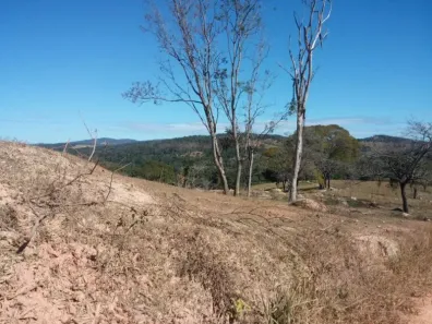 Lote/Terreno com 1 Quarto à venda, 235000m² no , Florestal