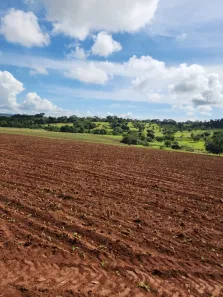 Fazenda/Sítio com 5 Quartos à venda, 21m² no , Uruana