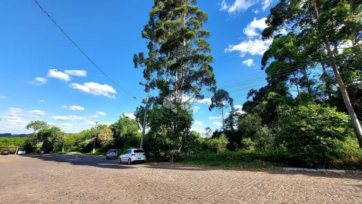 Lote/Terreno à venda, 5935m² no Tamandaré, Garibaldi