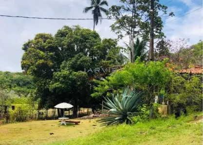 Lote/Terreno à venda, 21114m² no , São Miguel dos Milagres