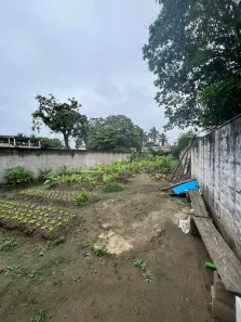 Lote/Terreno à venda, 543m² no Praia das Palmeiras, Caraguatatuba