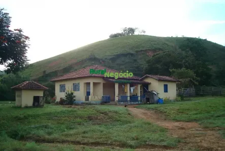 Fazenda/Sítio à venda, 2553500m² no , Silveiras