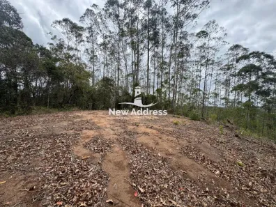 Lote/Terreno à venda, 20000m² no -, Domingos Martins