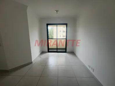 Apartamento com 2 Quartos para alugar, 50m² no Parque Mandaqui, São Paulo