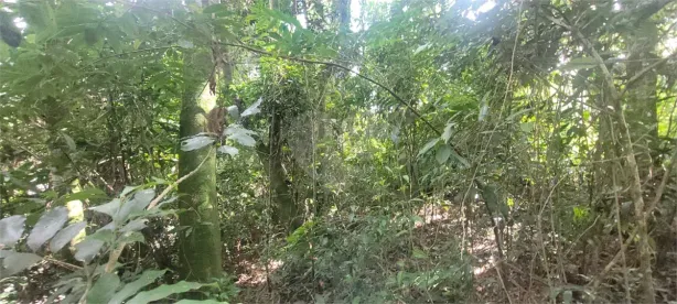 Lote/Terreno à venda, 1000m² no Mantiqueira, Mairiporã