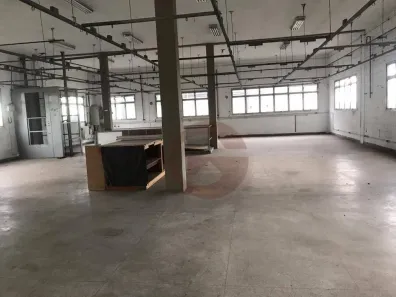 Galpão/Depósito/Armazém para alugar, 700m² no Vila Albano, São Paulo