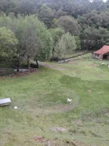 Imóvel Comercial à venda, 94800m² no Pedancino, Caxias do Sul