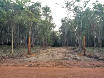 Lote/Terreno à venda, 530m² no Praia do Forte, Mata de São João