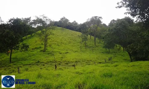 Fazenda/Sítio com 3 Quartos à venda, 10m² no Joaquim Cardoso, Itapuranga