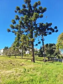 Lote/Terreno à venda, 3966m² no Esplanada, Caxias do Sul