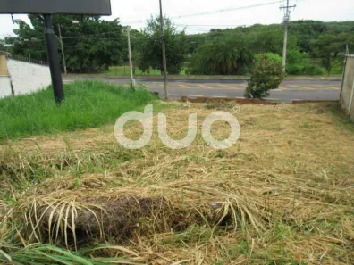 Lote/Terreno para alugar, 498m² no Centro, Piracicaba
