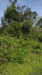 Lote/Terreno à venda, 250m² no Cibratel II, Itanhaém
