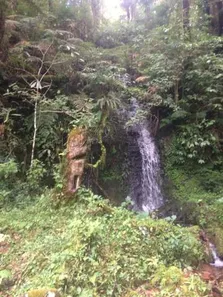 Fazenda/Sítio à venda, 166000m² no , Urubici