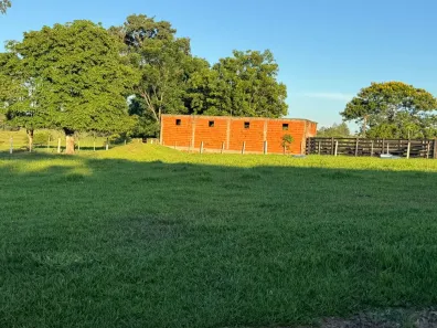 Fazenda/Sítio com 3 Quartos à venda, 120m² no , Pirapozinho