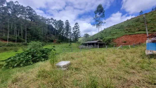 Fazenda/Sítio com 2 Quartos à venda, 60000m² no , Piracaia