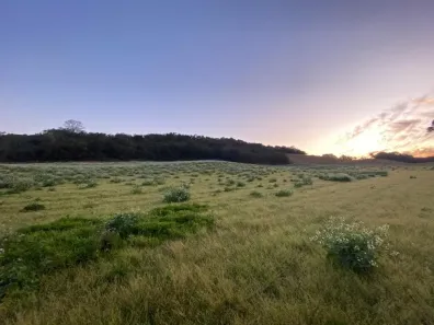 Fazenda/Sítio à venda, 35871m² no Área Rural de Almirante Tamandaré, Almirante Tamandaré