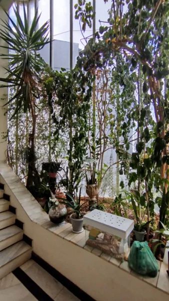 Foto 45