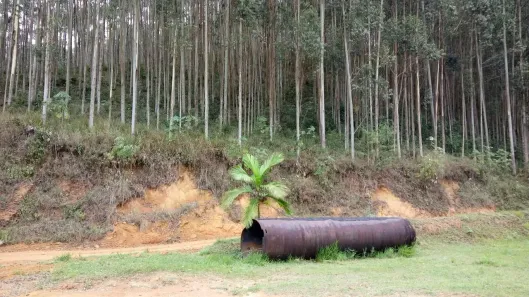 Fazenda/Sítio com 2 Quartos à venda, 5660000m² no Fumaça, Resende