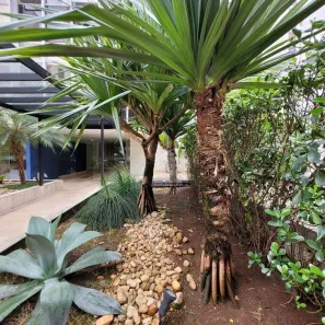 Apartamento com 4 Quartos à venda, 265m² no Santa Cecília, São Paulo