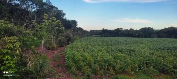 Fazenda/Sítio à venda, 12430000m² no , Monte Santo do Tocantins