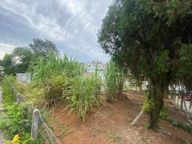 Lote/Terreno à venda, 428m² no Jardim Atlântico, Florianópolis