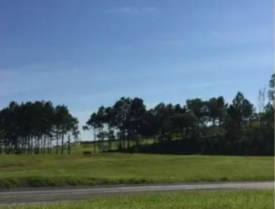 Lote/Terreno para venda ou aluguel, 10900m² no Vila Artura, Sorocaba