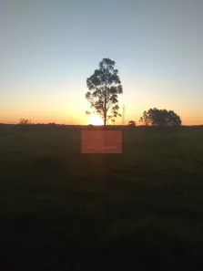 Fazenda/Sítio com 2 Quartos à venda, 1m² no , Sidrolândia