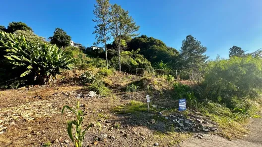 Lote/Terreno à venda, 1050m² no Fátima, Bento Gonçalves